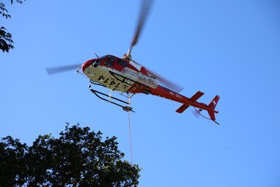 H125 im Flug