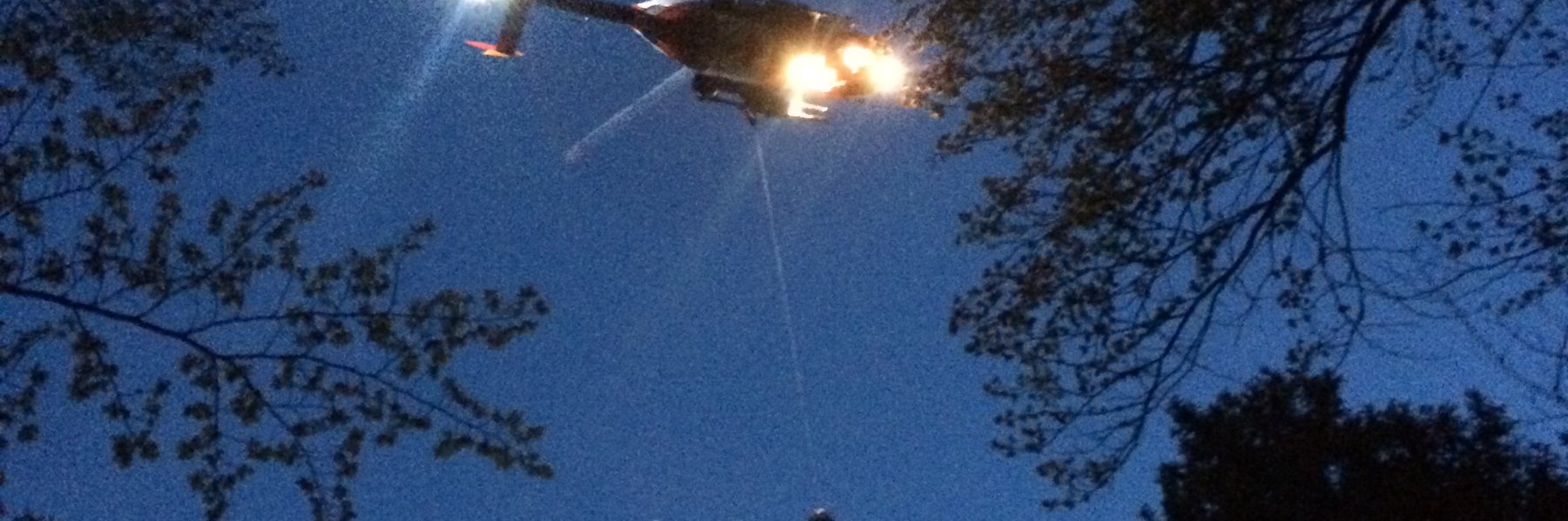 Treuillage de nuit entre les arbres 