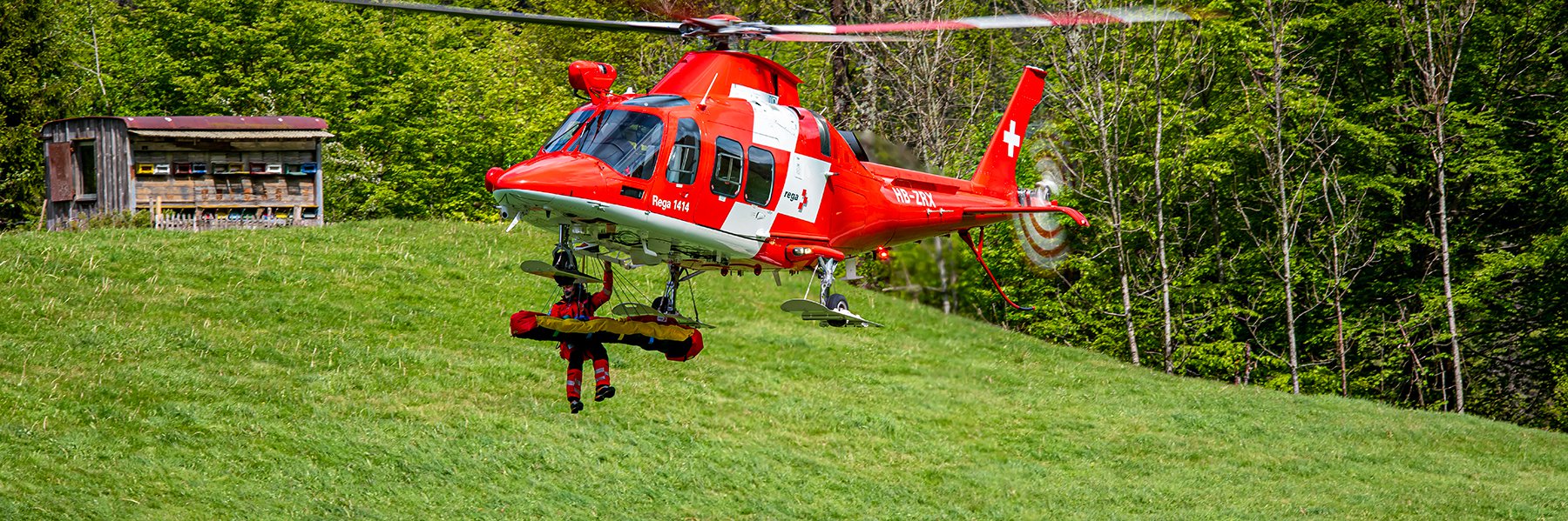 AgustaWestland Da Vinci over a meadow