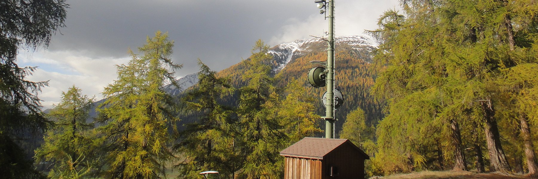 Rega radio station in forested area