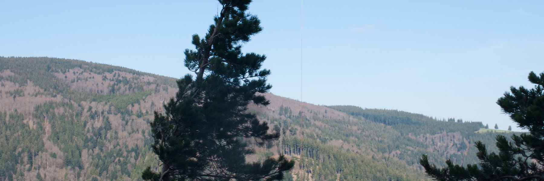 Symbolbild Windenrettung